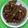 Mittra Shrabanti's cooksnap of when they made ইন্সট্যান্ট জিলিপি (Instant jilipi recipe in Bengali).