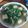 Cooksnap dari Kania Adisiwi untuk resep Kailan ca bawang putih