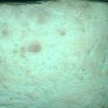 sbooten4's cooksnap of when they made No Knead Bread.