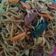 Cooksnap dari Novita Mustikawati untuk resep Mie Goreng Burung Dara