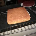 Charity Munoru's cooksnap of when they made My Lemon coconut cake with chocolate #chocolatebakingcontest.