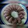 Cooksnap dari Rocha Ningsih untuk resep Bolu kukus keju kelapa muda (no :mixer,oven,baking powder)