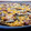 El cooksnap de Rosa Sanchez Baixauli cuando hizo Paella valenciana (Castellón/Sierra Espadán).