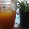 Cooksnap dari dian untuk resep Jamu Promil JSR dr.Zaidul Akbar