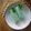 Cooksnap dari My Homemade Food untuk resep Es Gabus