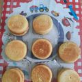 Cooksnap dari nirmala sari untuk resep Kue Kamir (khamir) tape