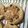 ayoung1979's cooksnap of when they made Vickys Plain Scones, Gluten, Dairy, Egg & Soy-Free.