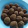 Cooksnap dari MelSas untuk resep Oat Choco Energy Bites