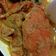 Cooksnap dari SEkaRinii untuk resep Kepiting Bumbu Kuning ala #dapurmamania