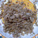 Cooksnap dari Chusnul Chotimah untuk resep MEGONO PEKALONGAN