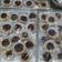 Cooksnap dari Mbak Ratih untuk resep Pie Brownise Shiny Crunt