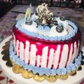 Alpa Pandya's cooksnap of when they made બ્લુ બેરી કેક(Blue Berry cake Recipe in Gujarati).