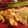 Scain's cooksnap of when they made Honey Mustard Chicken Skillet Bake.