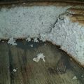 El cooksnap de Lola Sena cuando hizo Torta de banana.