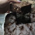 El cooksnap de Amanda cuando hizo Brownie de cacao y crema de coco!!!💘💘🥥🥥🍫🍫.