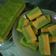 Cooksnap dari Octavia Nomleni untuk resep Bolu singkong kukus flourless