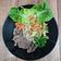 Cooksnap dari Dewi Kumala untuk resep Niku udon