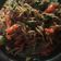 Cooksnap dari Sagitta Novita untuk resep Teri medan tumis cabe hijau