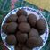 El cooksnap de Lorena Vadala cuando hizo Galletas de avena, cacao y pasas de uva.