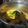 Cooksnap dari Aldila alaydrus untuk resep Gulai Ayam Kacang Panjang