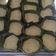 Cooksnap dari Imun untuk resep Barongko (Pisang Kepok)