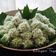 Cooksnap dari Eni's Kitchen untuk resep Resep klepon ketan isi gula jawa empuk dan lembut