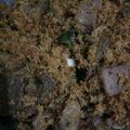 Cooksnap dari Ratih Aidawati untuk resep Dendeng Ragi