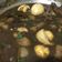 รูป Cooksnap ของ Pweena Kantangkun เมื่อเขาทำ ไข่พะโล้