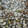 Jyoti Shah's cooksnap of when they made ખજુર પાક (Khajoor Paak Recipe In Gujarati).