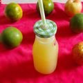 Niyati Mehta's cooksnap of when they made Refreshing Mosambi juice.