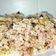 Aruna Purwar का कुकस्नैप जब उन्होंने साबूदाना खिचड़ी (Sabudana khichdi recipe in Hindi) बनाया था।