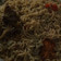 Ummu Amatullah's cooksnap of when they made Basise.