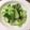 上班族小廚師 的 炒青江菜 cooksnap