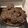 Mina Rabideau 's cooksnap of when they made Double Chocolate Banana Muffins.