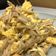 林HZ 的 黑胡椒金針菇炒蛋（素食料理）（低醣生酮餐）（家常菜）（快速料理）（便當菜）（一鍋到底料理） cooksnap