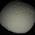 El cooksnap de MARCELA VIVIANA cuando hizo Queso Mascarpone Casero Sin Termómetro Sin Calentar Económico.