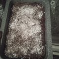 Сooksnap від Маша Попова, який(а) приготував(ла) Шоколадний бісквіт 🍫.