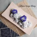 Cooksnap dari Mama fathan untuk resep Klepon Bunga Telang