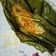 Cooksnap dari Nia d'Kitch untuk resep Pepes ikan kembung