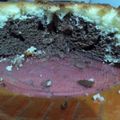 El cooksnap de Analía cuando hizo Torta marmolada sin manteca fácil y esponjosa.