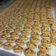 Cooksnap dari Devi Alviyah untuk resep Kue Kacang Skippy