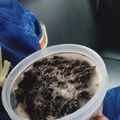Cooksnap dari siska huwae untuk resep Puding oreo susu