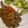 El cooksnap de poramoralhambre cuando hizo Milanesa con verduras.