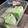 Cooksnap dari Dewi Wahyuningsih untuk resep Puding tape ketan hitam lapis pandan