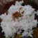 Cooksnap dari Aulia R. untuk resep Nasi uduk fiber creme rice cooker