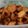 El cooksnap de Patricia María Luna cuando hizo 🍪Galletitas dulces con azúcar mascabo fáciles y saludables🍪.
