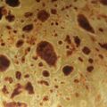 Muthoni Muchiri's cooksnap of when they made Pumpkin chapati.
