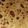 Muthoni Muchiri's cooksnap of when they made Pumpkin chapati.