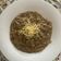 El cooksnap de Mireia Trancoso Paredes cuando hizo Risotto de champiñones (Thermomix).