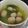 Cooksnap dari Yuniandini Ichsania untuk resep Bakso Sapi Kenyal Pakai Blender #homemadeDBest